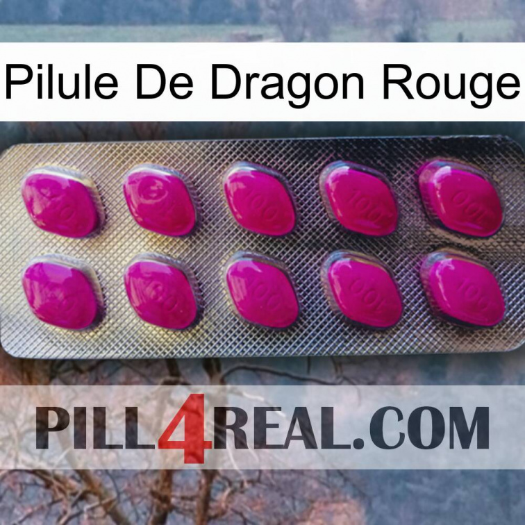 Red Dragon Pill 09